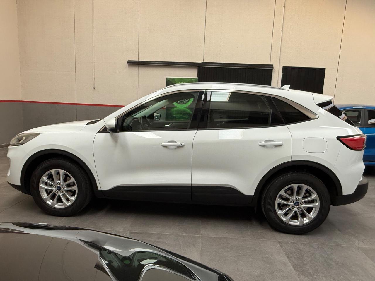 Ford Kuga 1.5 EcoBlue 120 CV aut. 2WD Titanium Business