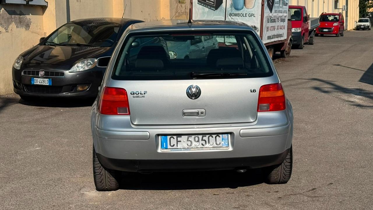 Volkswagen Golf 1.6 16V cat 5p. Highline Plus
