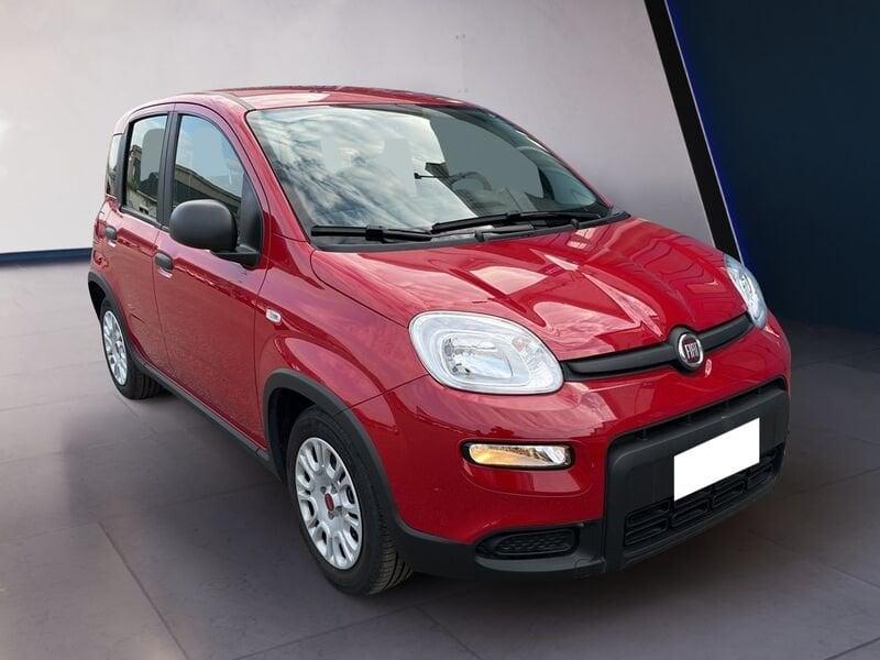 FIAT Panda My24 1.0 70cv Hybrid Panda