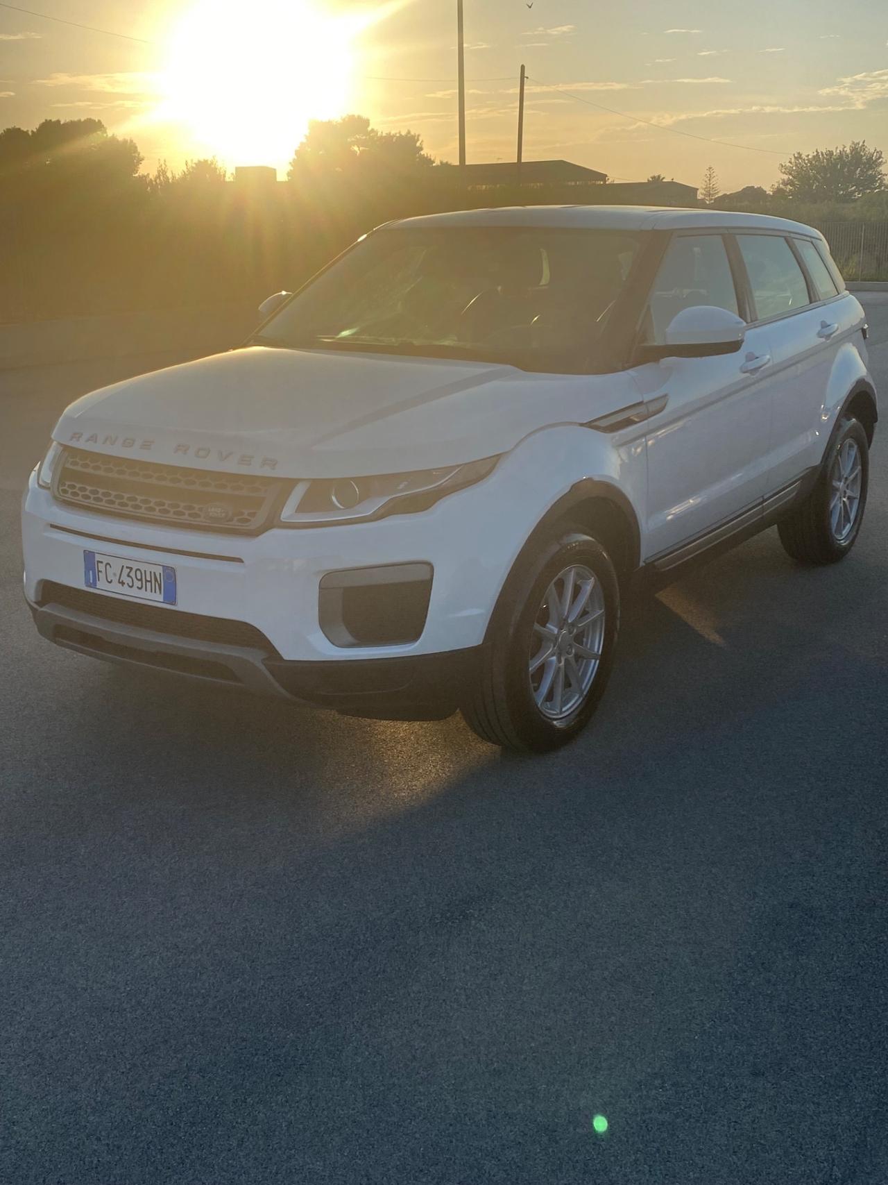 Land Rover Range Rover Evoque Range Rover Evoque 2.0 TD4 150 CV 5p. Pure
