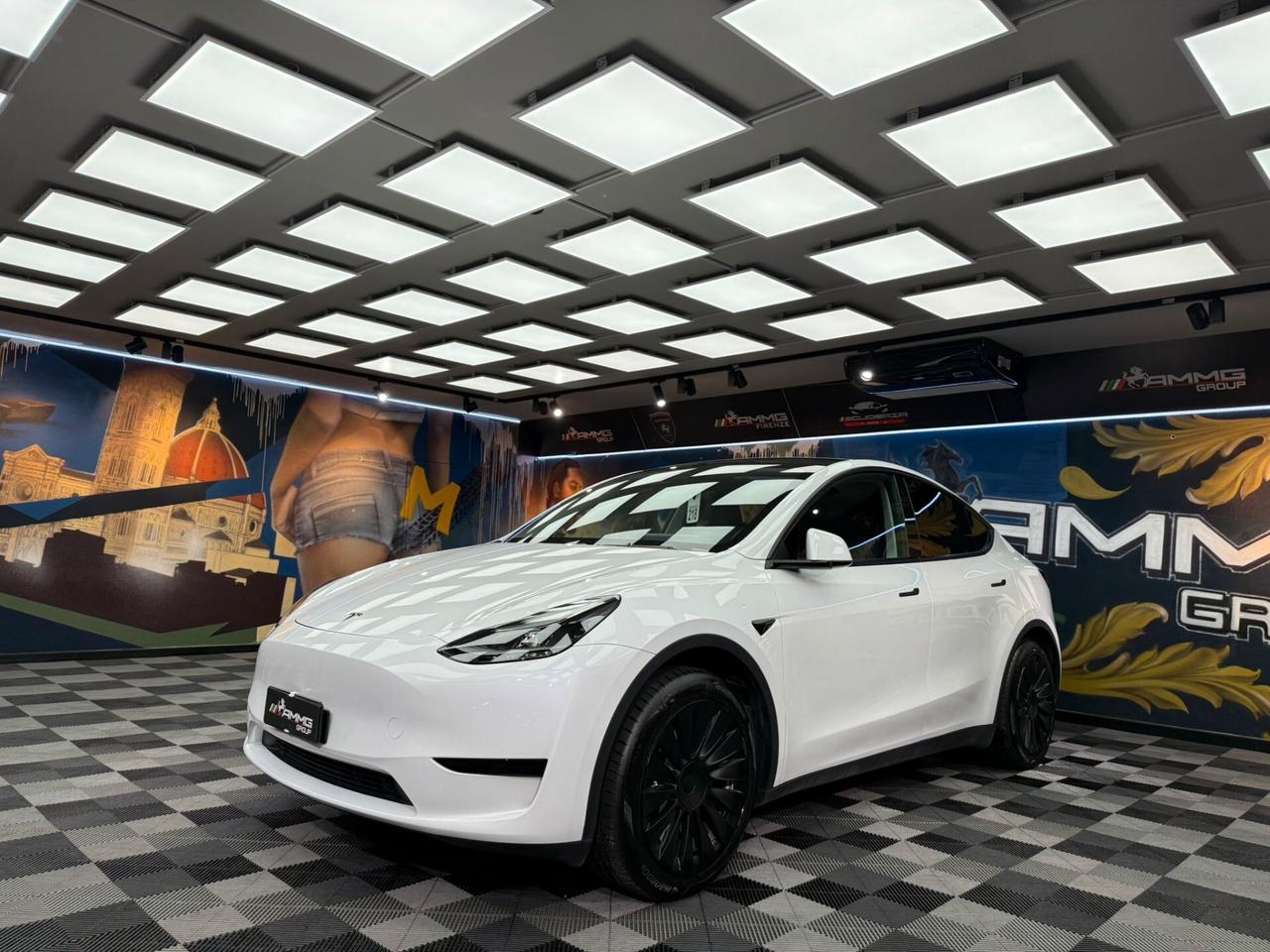 Tesla Model Y RWD (485)