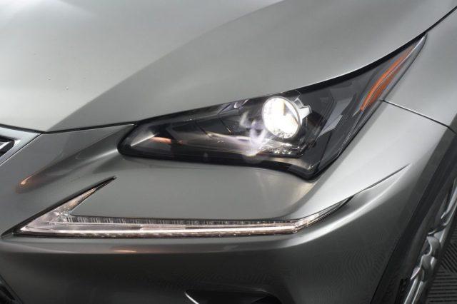 LEXUS Other NX NX Hybrid Business