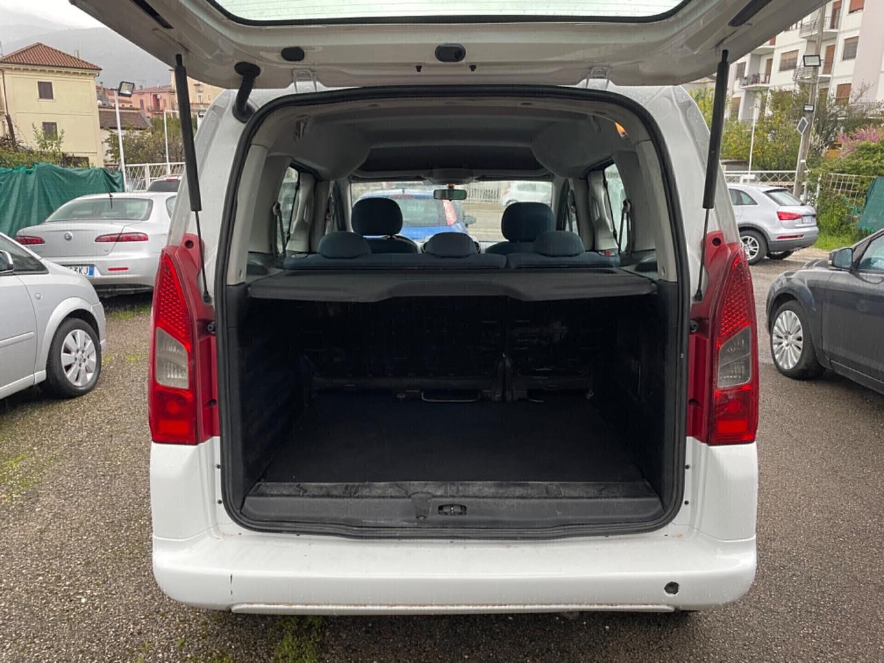 Citroen Berlingo 1.6 HDi 90 Multispace 5 posti Combi N1