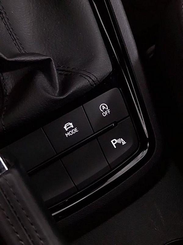 Škoda Kamiq 2024 1.0 TSI 115cv Monte Carlo DSG