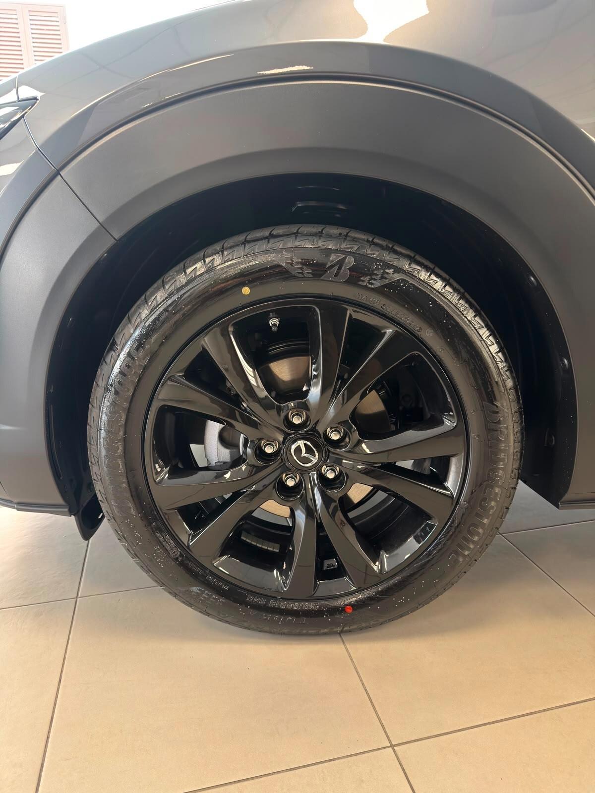 Mazda CX-30 e-Skyactiv-G M Hybrid 2WD Nagisa