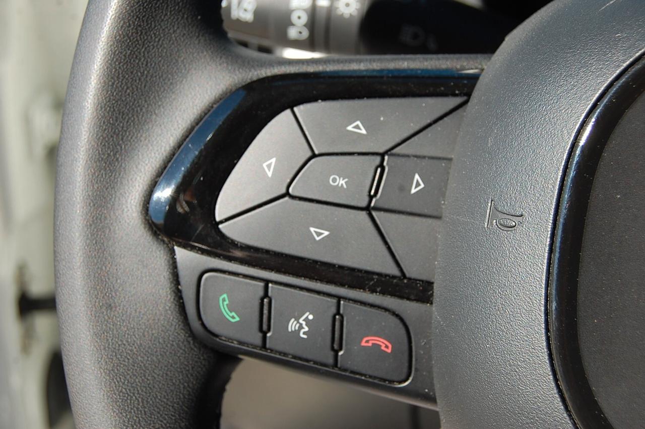 Fiat Panda Cross 1.0 FireFly S&S Hybrid