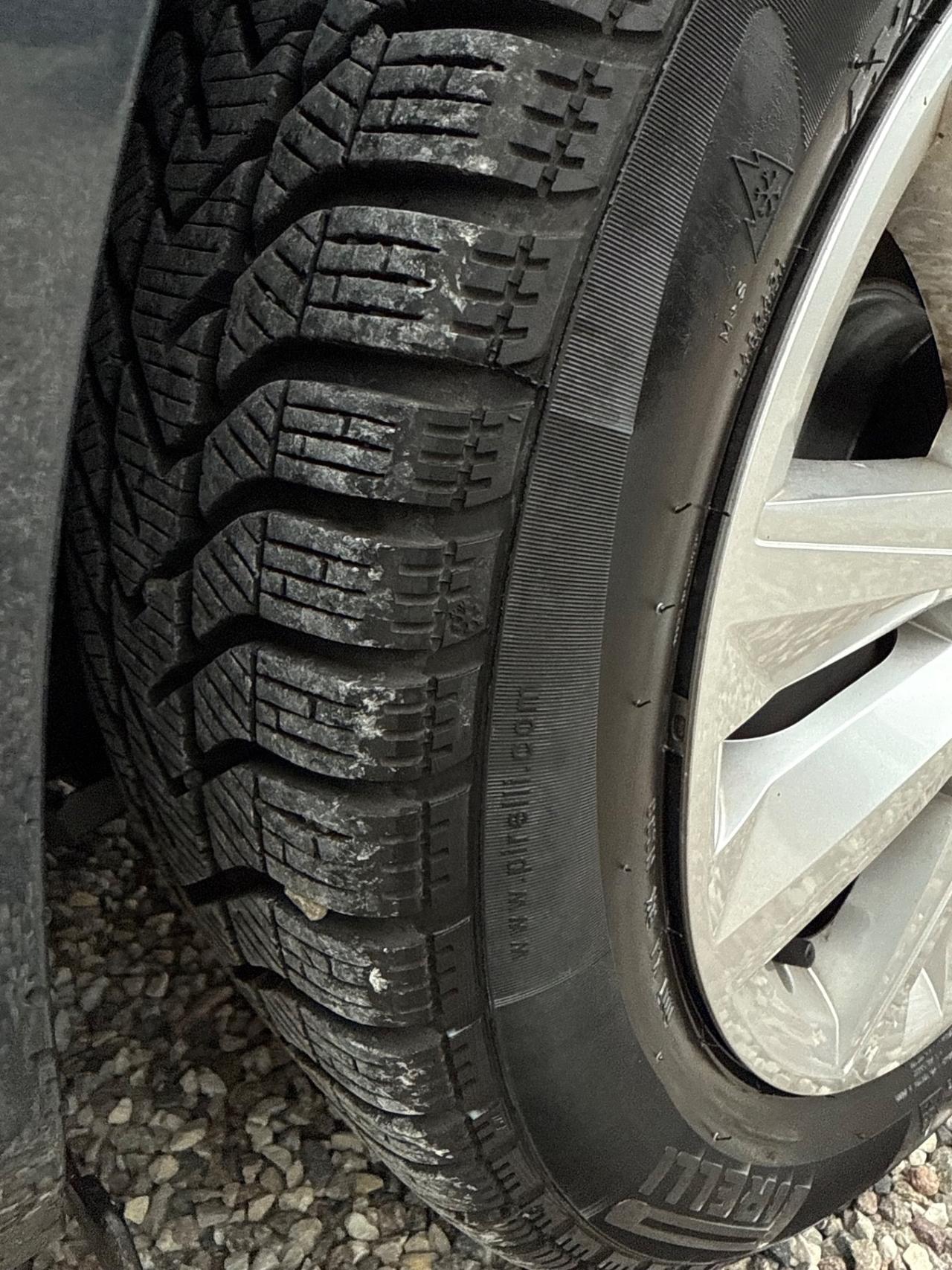 Renault Megane Mégane Sporter Blue dCi 115 CV Business