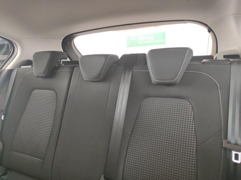 FORD Focus (AUTOCARRO) 1.5 EcoBlue 95 CV 5p. Business