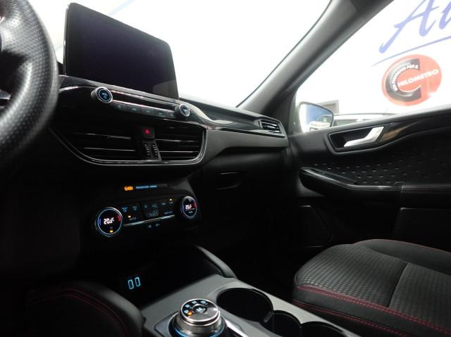 Ford Kuga 1.5 EcoBlue 120 CV POWERSHIFT ST LINE