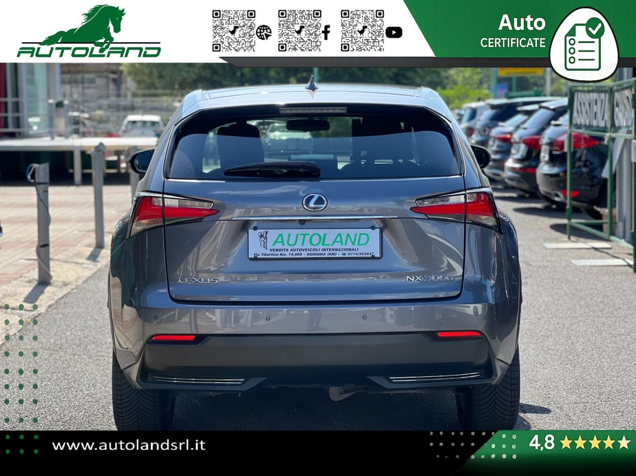 Lexus NX 300h 2.5 F-Sport 4wd