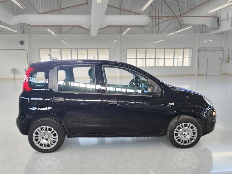 FIAT PANDA 1.0 FireFly 70cv S/S Hybrid 5 PORTE