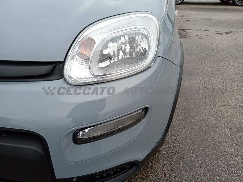 FIAT Panda Panda 1.0 firefly hybrid City Life s&s 70cv 5p.ti