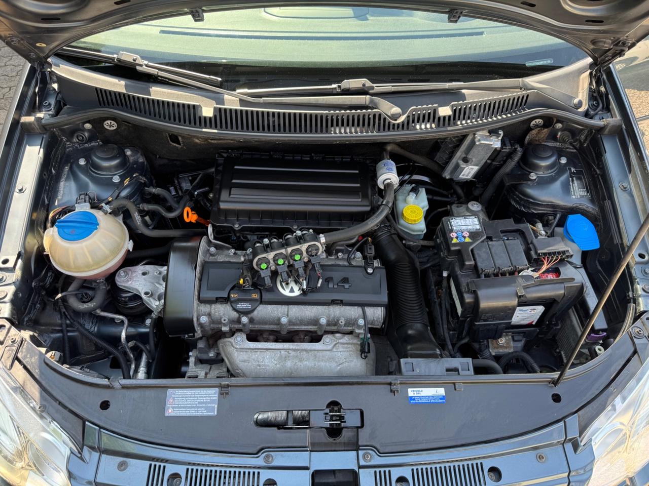 Volkswagen Polo 1.4/80CV 16V 5p. Comfort. BiFuel G