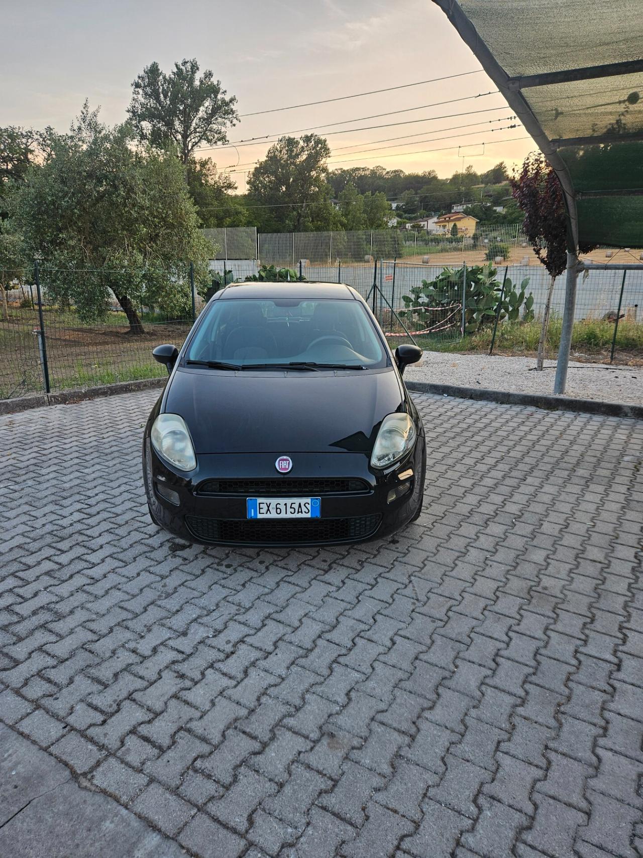 Fiat Punto ANNO2014