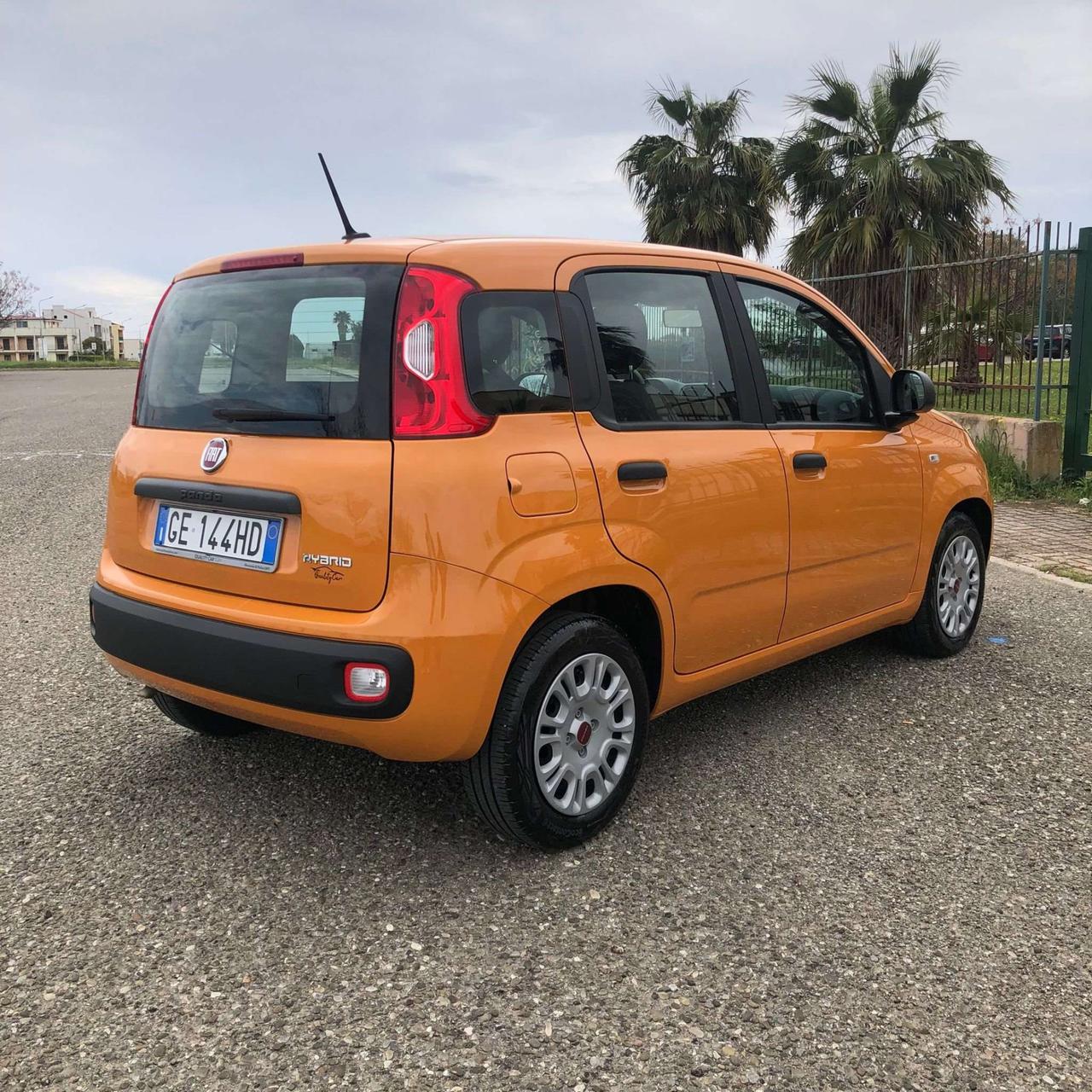 Fiat Panda Panda