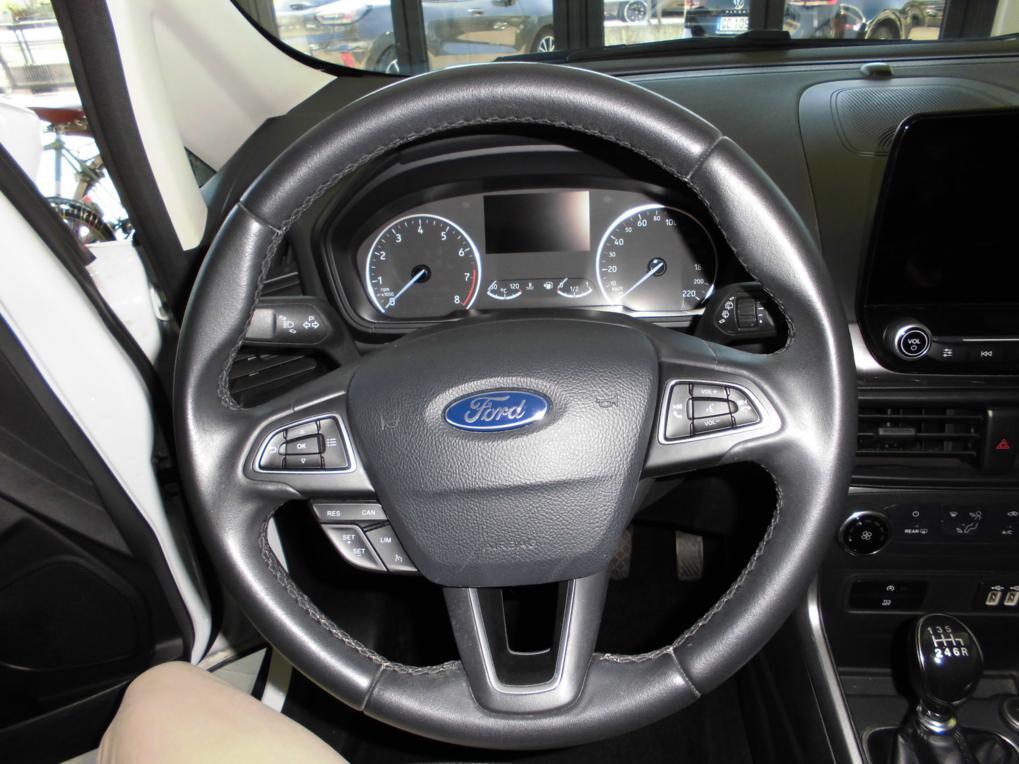 Ford EcoSport 1.0 EcoBoost 100 CV Business