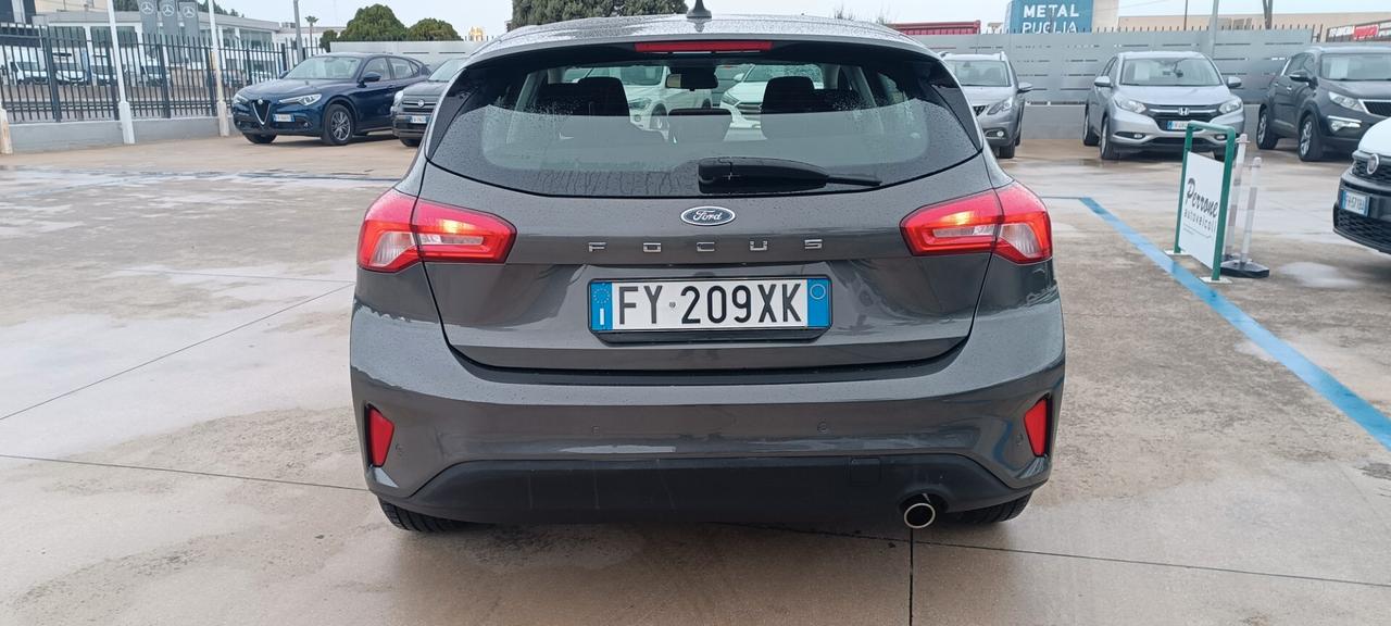 Ford Focus 1.5 EcoBlue 120 CV 5p. Business