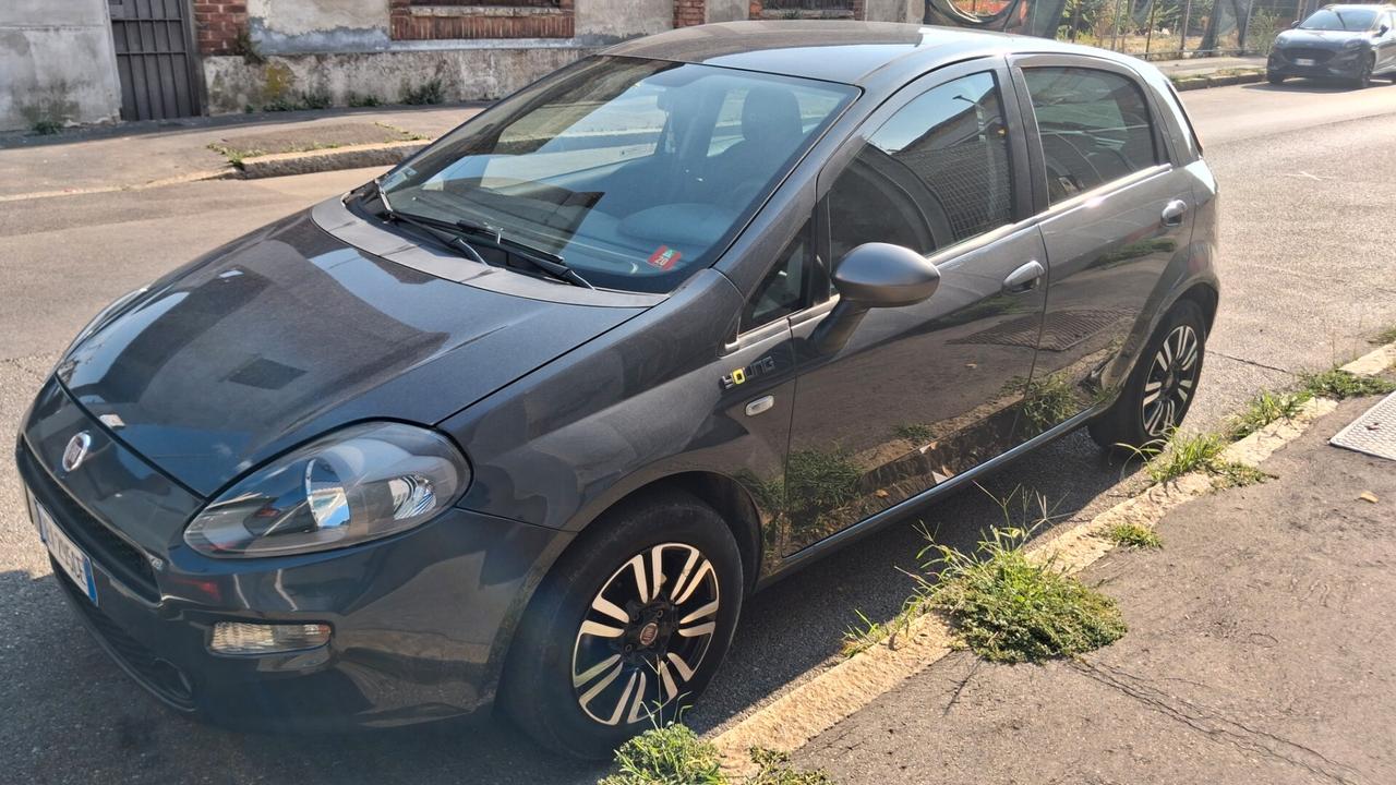 Fiat Punto 1.2 8V 5 porte Young EURO 6