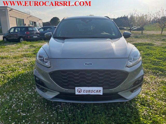 FORD Kuga 1.5 EcoBlue 120 CV 2WD ST-Line