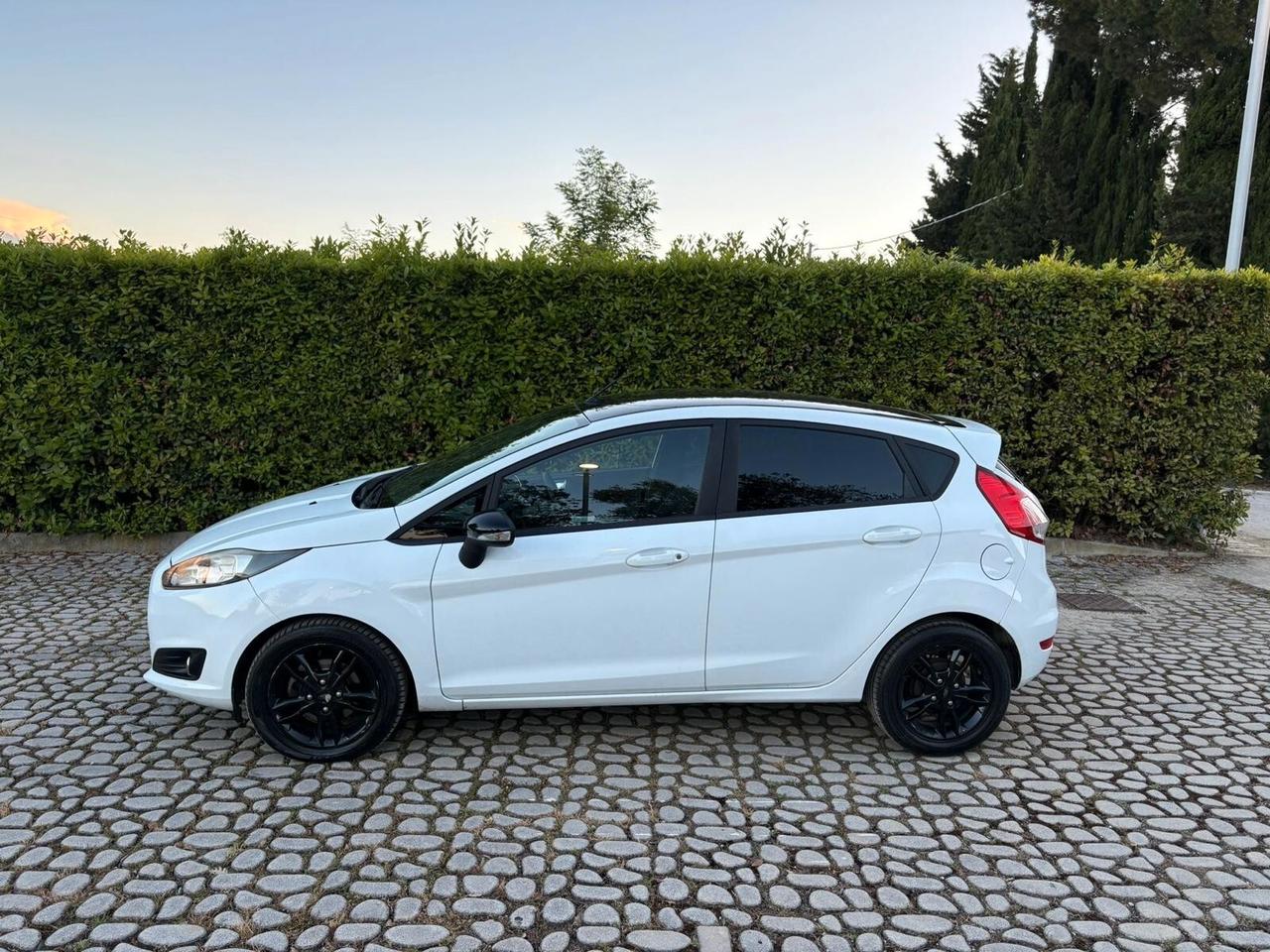 FORD Fiesta 1.5TDCi 75CV 5 porte ST-Line - 2017