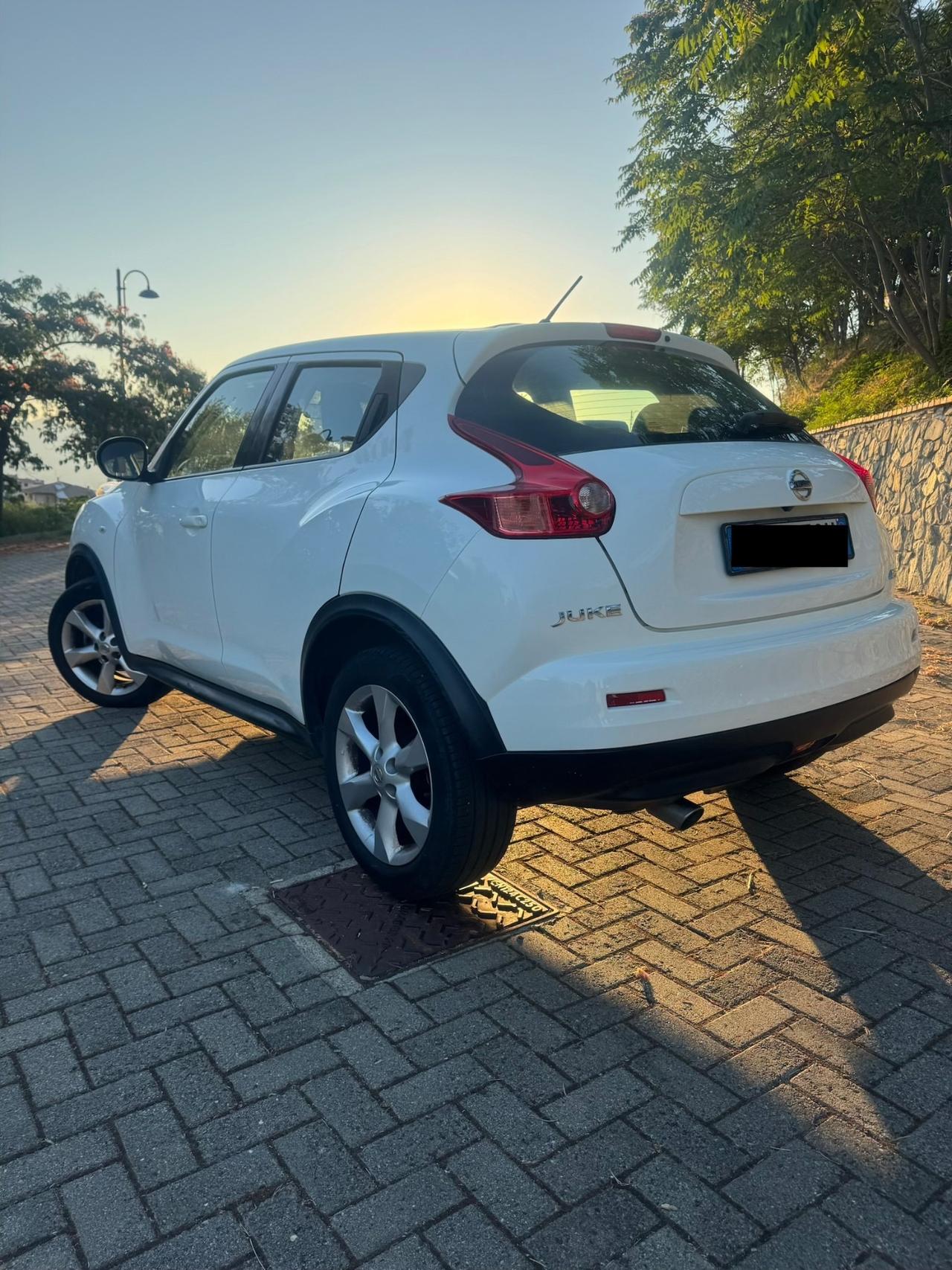 Nissan Juke 1.5 dCi 110Cv 2013