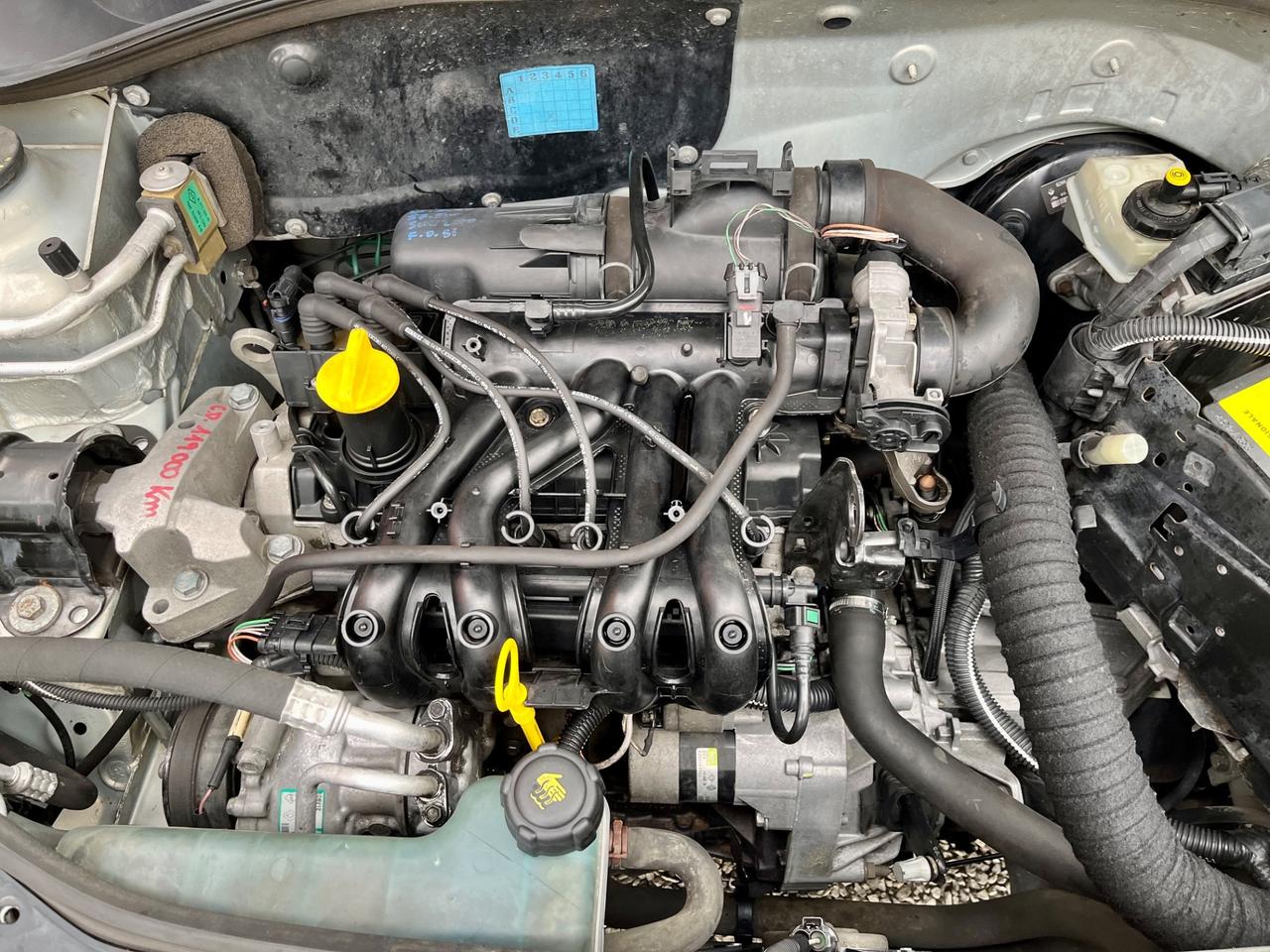 Renault Clio 1.2 cat 5 porte Confort Authentique