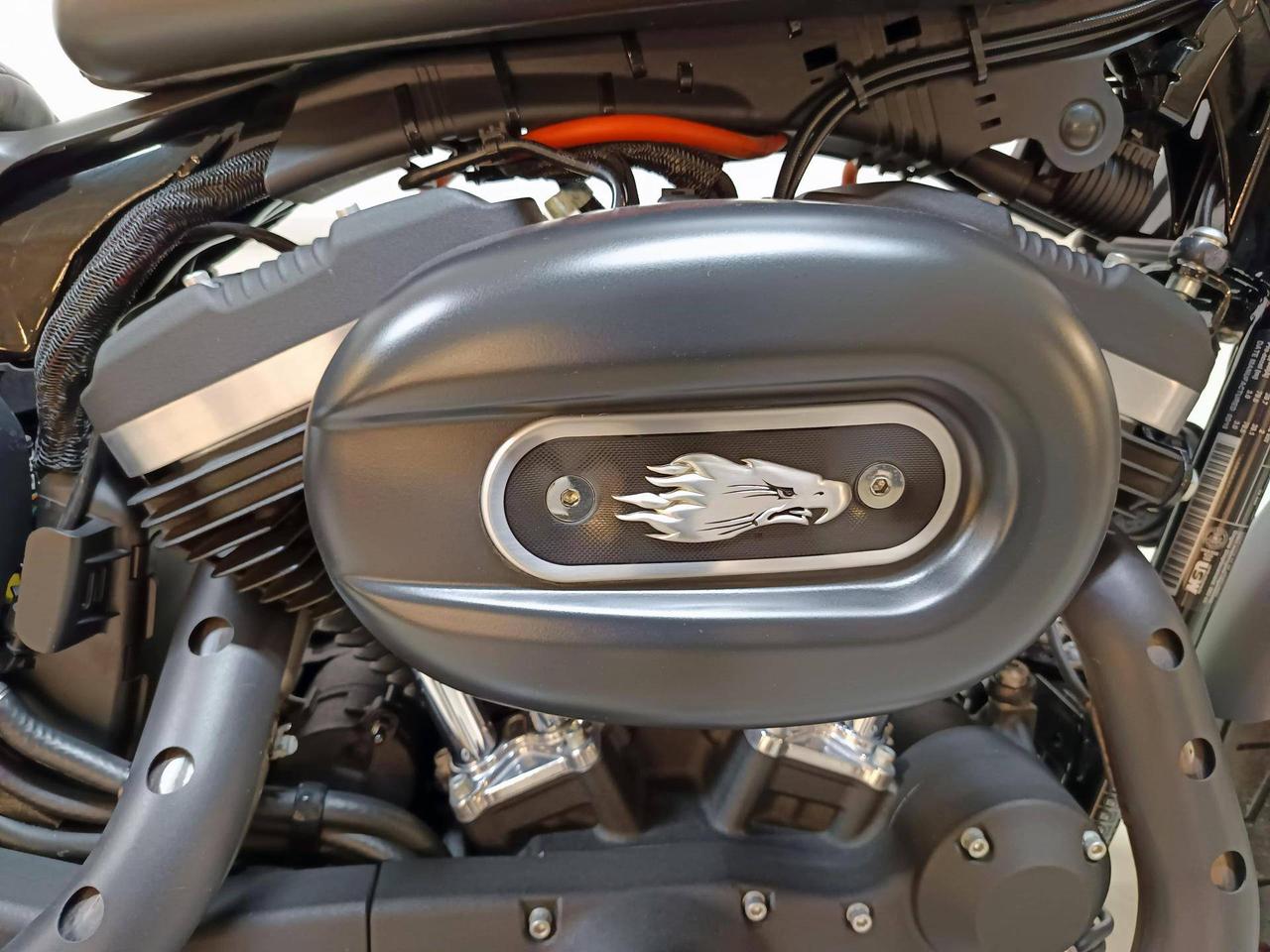 HARLEY DAVIDSON 883 Iron