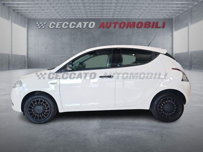 Lancia Ypsilon Ypsilon 1.2 Elefantino 69cv my18