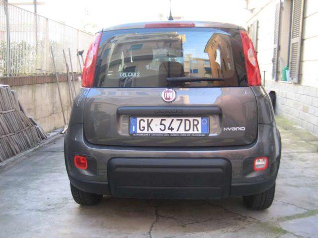 FIAT New Panda 1.0 FIREFLY S-S HYBRID CITY LIFE