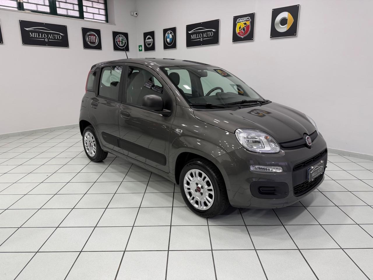 Fiat Panda 1.2cc 69cv Easy 2021