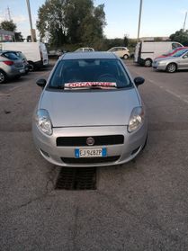 Fiat Punto Evo Punto Evo 1.2 5 porte S&S Active