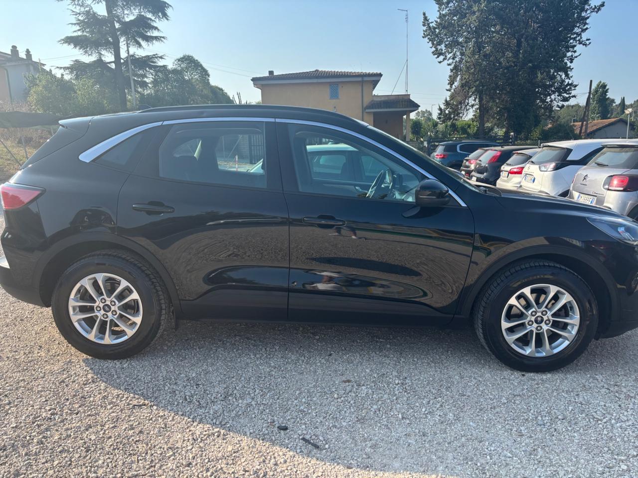 Ford Kuga 1.5 EcoBlue 120 CV 2WD Titanium Business