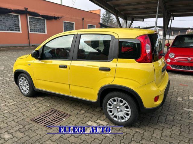 FIAT Panda PROMO FINANZ 1.0 +PACK CITY Hybrid Pandina KM 0