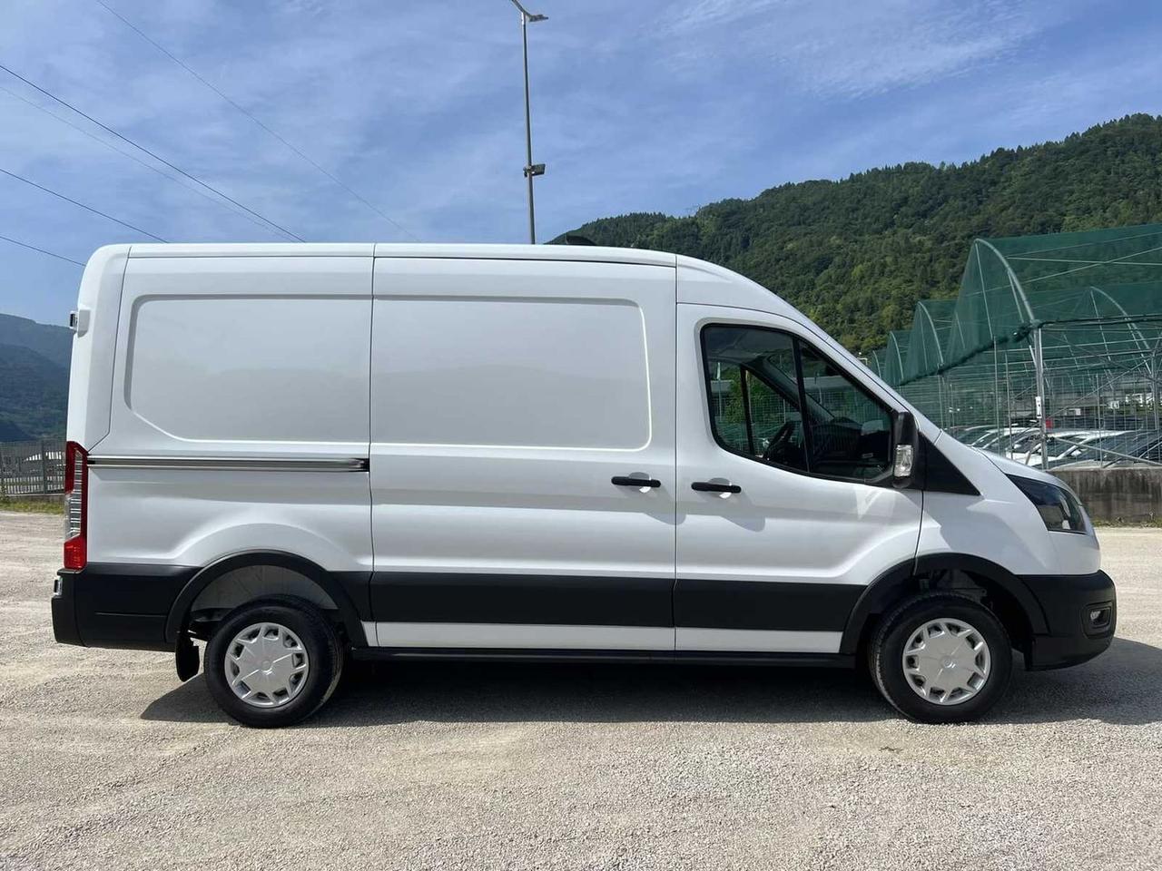 Ford Transit 2.0 TDCi EcoBlue 130CV Furgone #50698