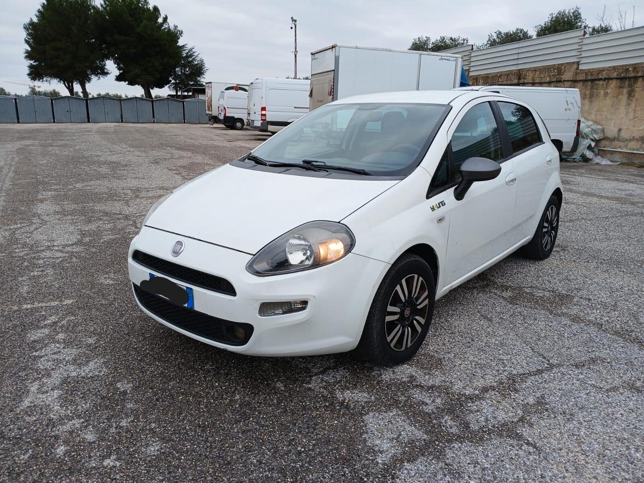 Fiat Punto 1.3 MJT II 75 CV 5 porte Lounge