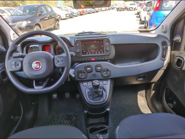 FIAT Panda 1.0 firefly hybrid s&s 70cv