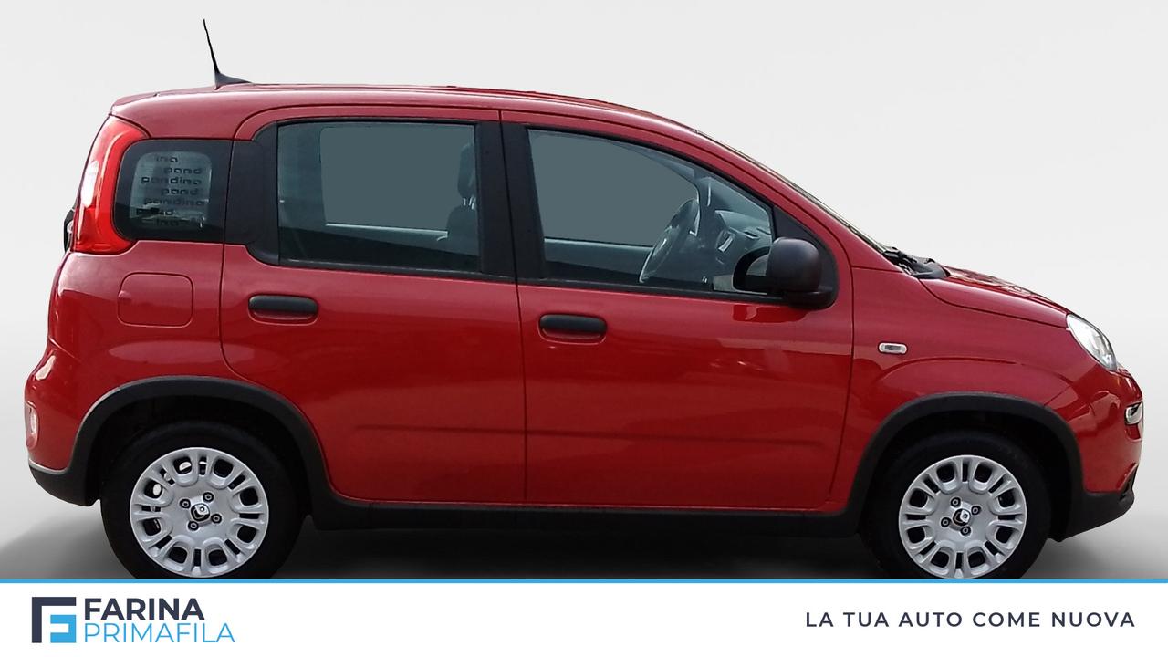 FIAT Panda Serie 7 1.0 70cv HybridPanda