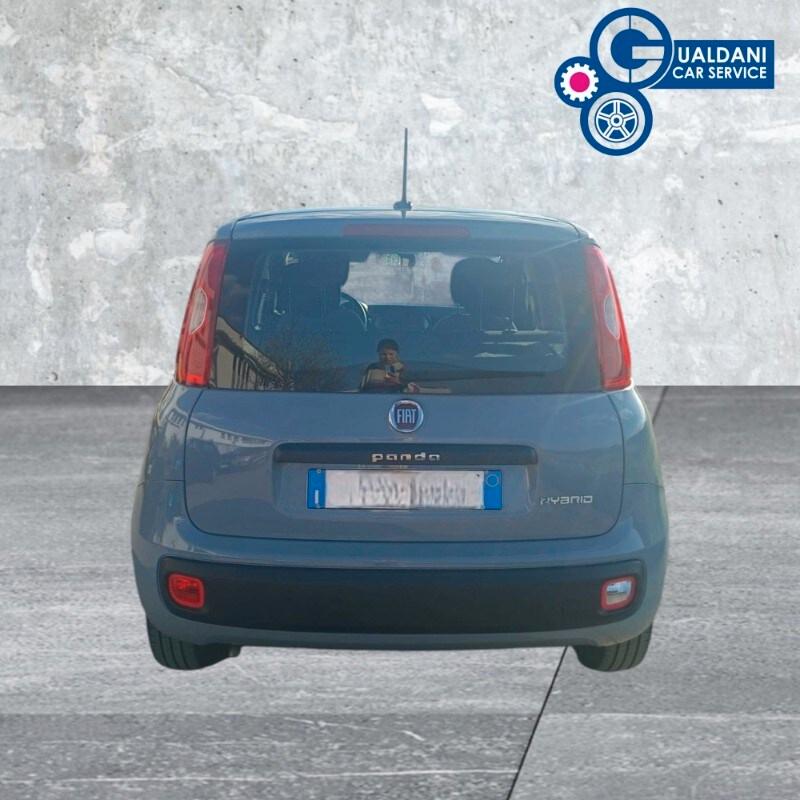 FIAT Panda 3ª serie Panda 1.0 FireFly S&S Hybrid