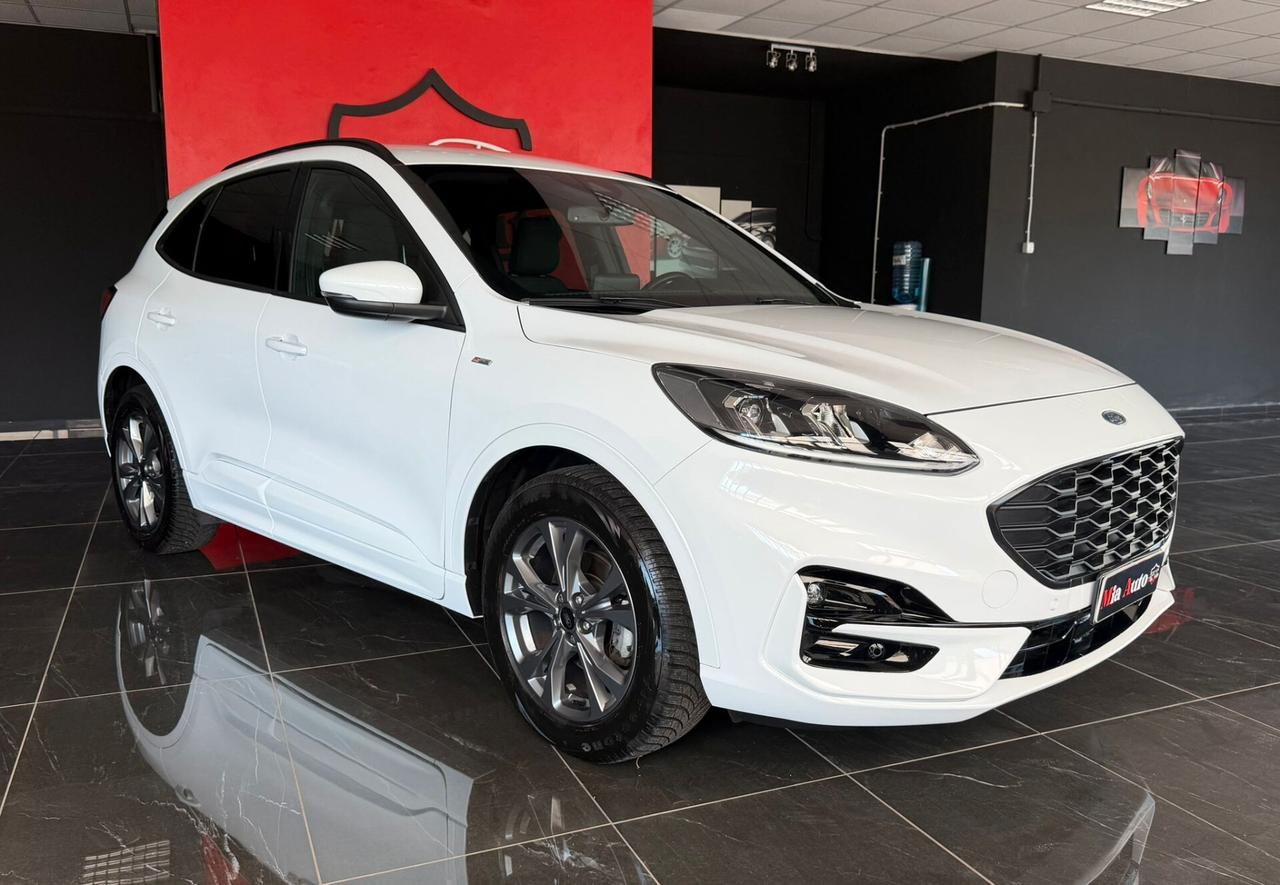 Ford Kuga 1.5 EcoBlue 120 CV aut. 2WD ST-Line Design