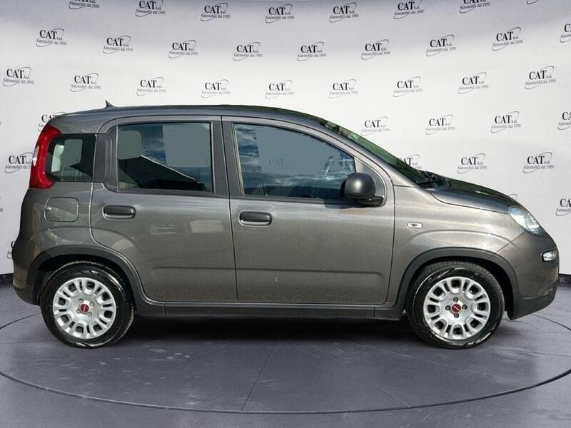 FIAT Panda Panda 1.0 firefly hybrid (prezzo reale)