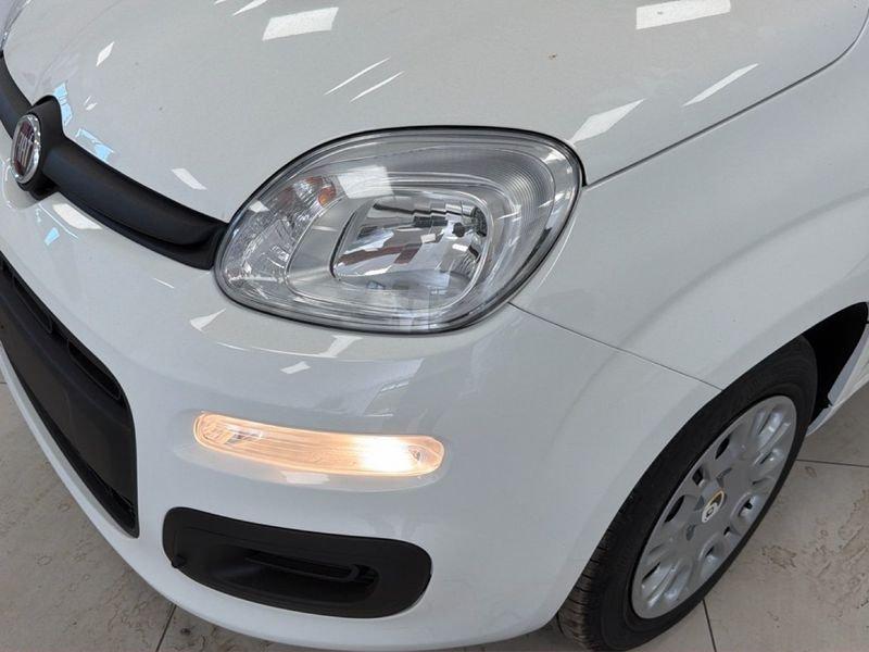 FIAT Pandina My26 1.0 65cv Hybrid Icon