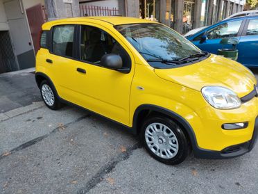 Fiat Panda Pandina 1.0 FireFly S&S Hybrid