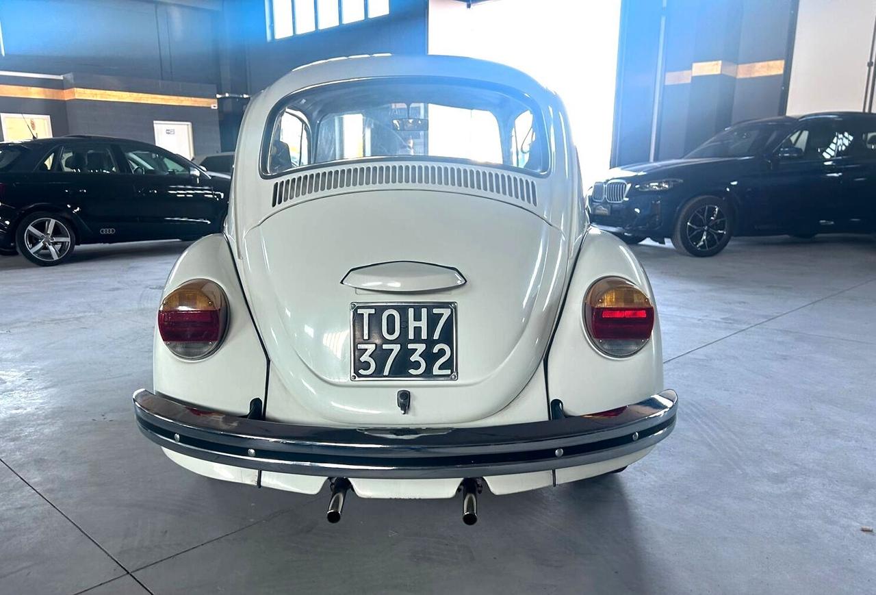 Volkswagen Maggiolino