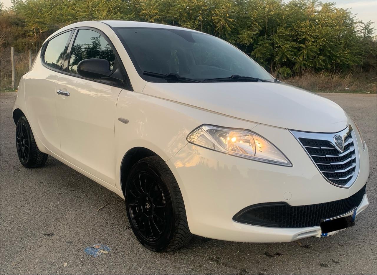 Lancia Ypsilon 1.3 MJT 16V 95 CV 5 porte S&S Platinum