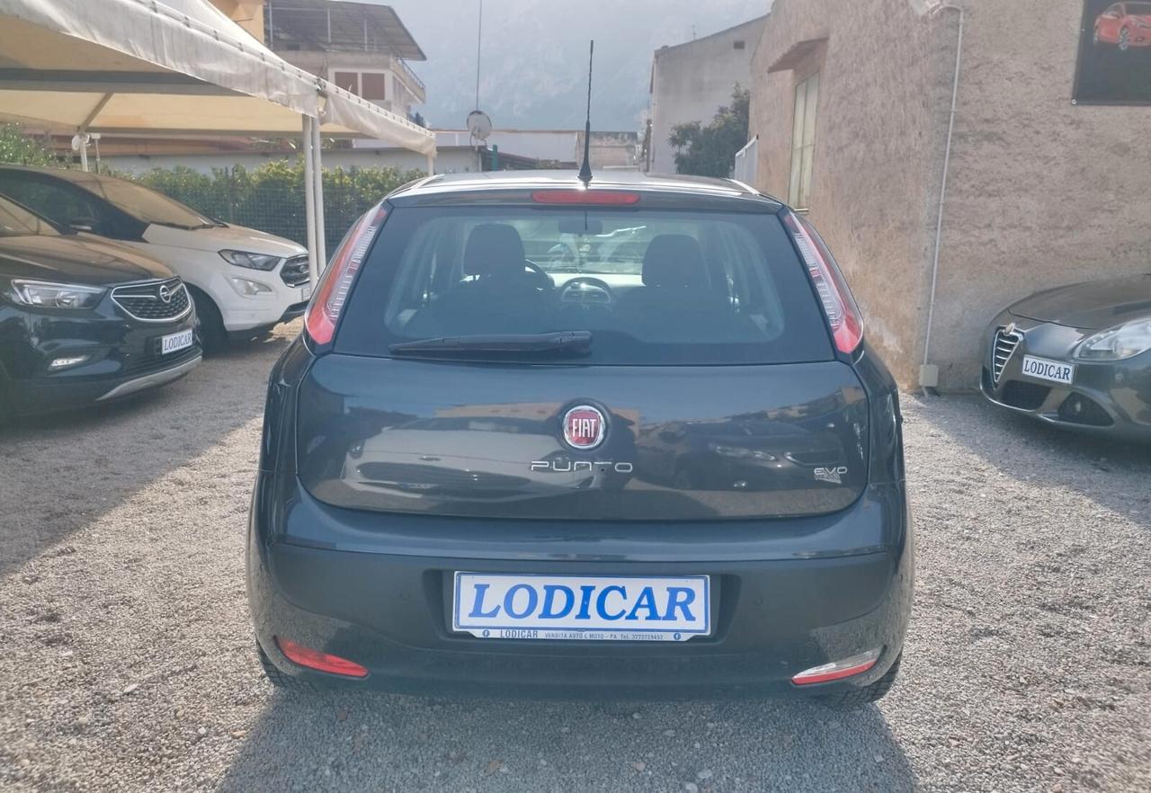 Fiat Punto Evo Punto Evo 1.3 Mjt 95 CV DPF 5 porte S&S Emotion