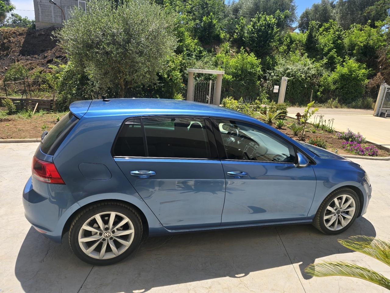 Volkswagen Golf Business 1.6 TDI 5p. Highline BlueMotion Technology