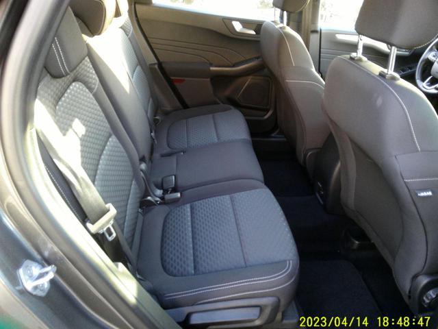 FORD Kuga 1.5 EcoBlue 120 CV aut. 2WD Titanium Business