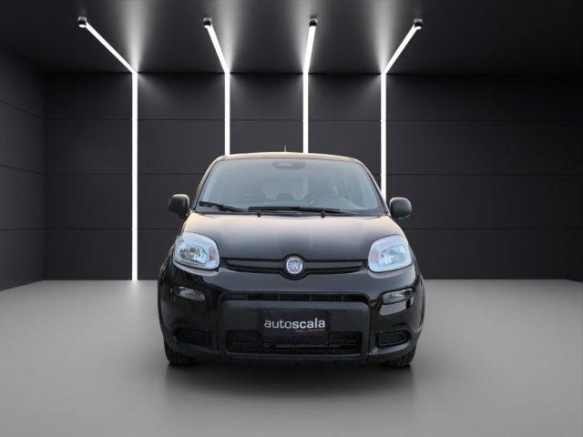 FIAT Panda 1.0 FireFly S&S Hybrid Pandina