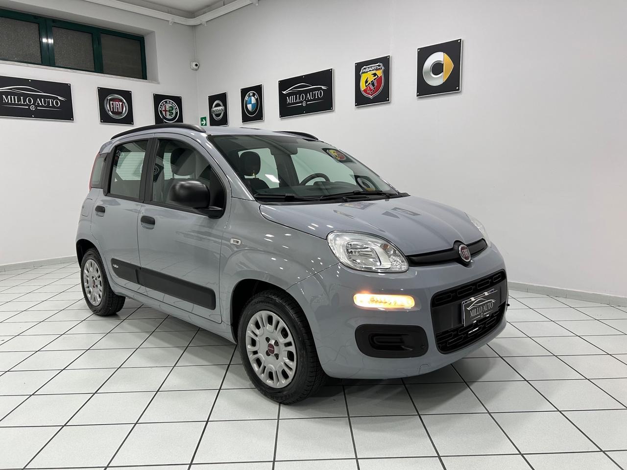 Fiat Panda 1.2cc 69cv Easy UNICO PROPRIETARIO