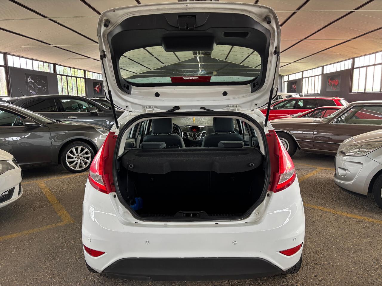 Ford Fiesta 1.4 TDCi 70CV 5p Titanium NEOPATENTATO